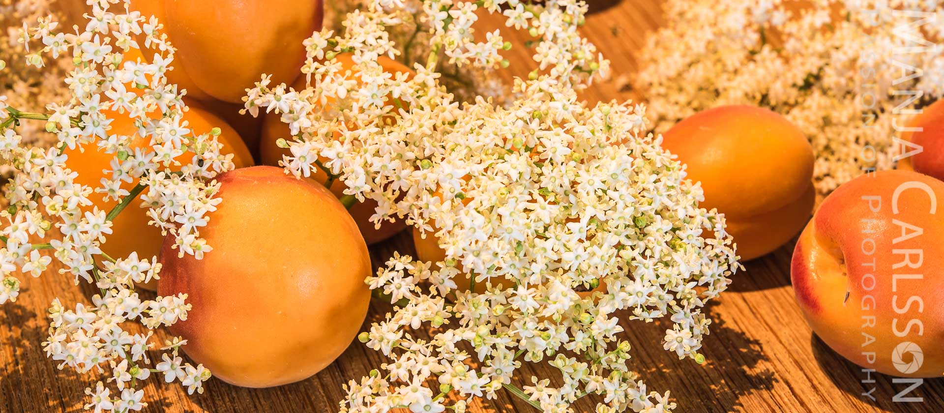 Aprikosen und Holunderblüten