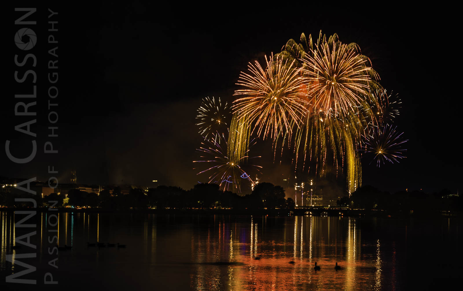 Alsterfeuerwerk Sommer 2017 - Goldregen